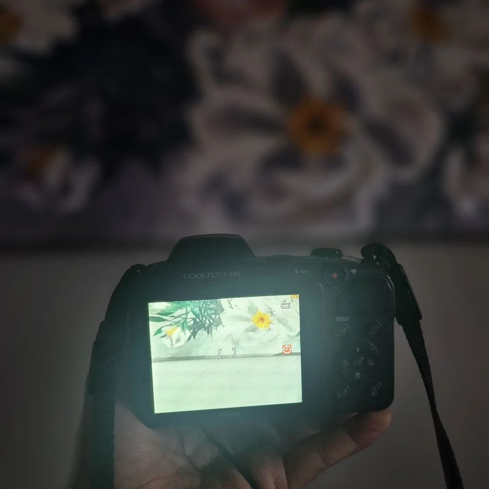 Nikon Coolpix L 320 Digital Photos And Vedios Camera